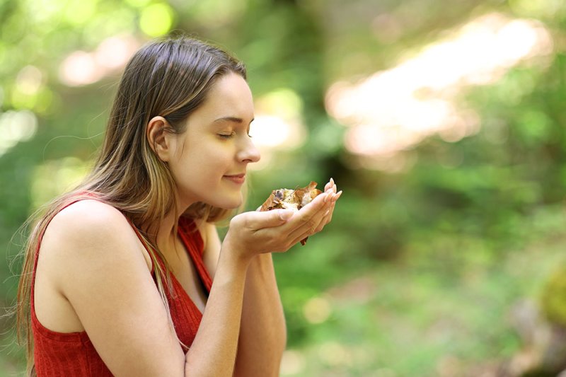 Bienfaits sur le corps et l'esprit 