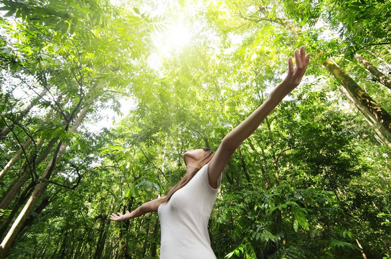 Le pouvoir guérisseur de la Nature